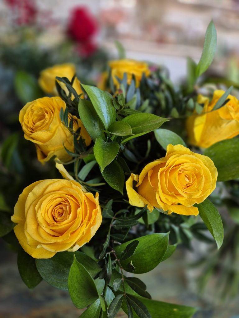 Rosa